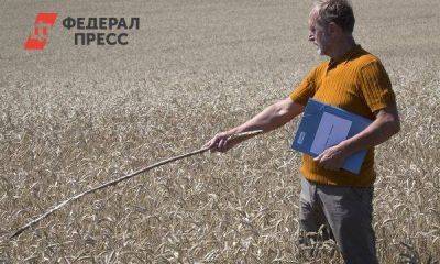В Европе бьют тревогу из-за украинского зерна