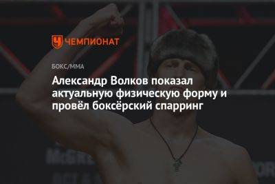 Александр Волков показал актуальную физическую форму и провёл боксёрский спарринг
