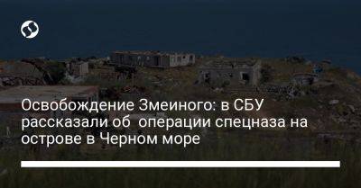 Освобождение Змеиного: в СБУ рассказали об операции спецназа на острове в Черном море - liga.net - Украина
