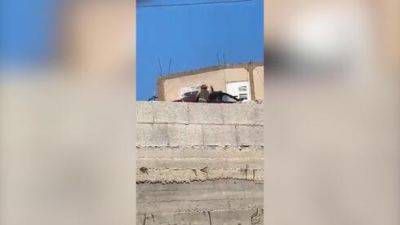 Солдат ЦАХАЛа разбил палестинскую машину