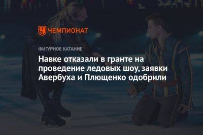 Навке отказали в гранте на проведение ледовых шоу, заявки Авербуха и Плющенко одобрили