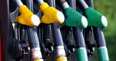 Владимир Омельченко - Довоенные цены на топливо: эксперты рассказали, какие изменения цен будут ждать украинцев - focus.ua - Россия - Украина
