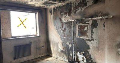 Ничего не осталось: мать рассказала как китайская зарядка для iPhone уничтожила ее дом (фото)