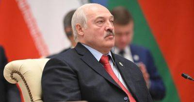 "До миллиметра": Лукашенко утвердил обозначение "центров принятия решений" на картах Беларуси