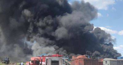 В Киевской области масштабный пожар в поле (ВИДЕО)