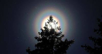 В небе над Финляндией появились радужные кольца вокруг Солнца: что вызвало их появление (фото)