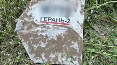 Пограничники рассказали, сколько «шахедов» сбили над Черниговской и Сумской областями