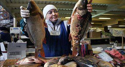 Какая рыба самая безопасная и полезная для пенсионеров — дело вовсе не в цене