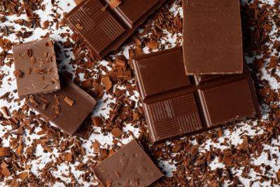 Как шоколад может противостоять изменению климата