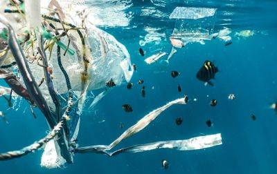 В ООН заявляют о критическом загрязнении пластиком