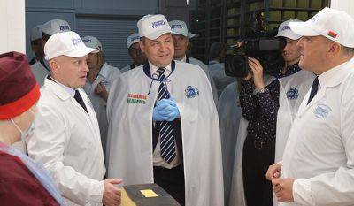 В Славгороде наращивают производство элитных сортов сыра