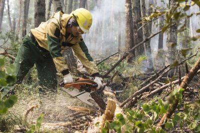 Три лесных пожара потушили в Тверской области с начала сезона