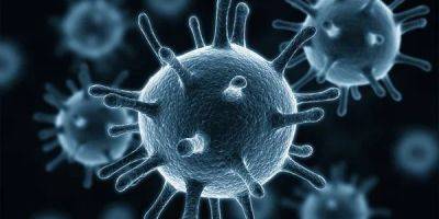 Не коронавирус. Американские ученые выяснили, какие вирусы были самыми смертоносными в истории человечества - nv.ua - США - Украина