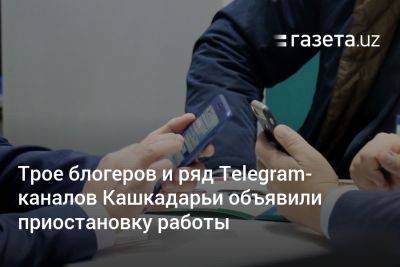 Трое блогеров и ряд Telegram-каналов Кашкадарьи объявили приостановку работы