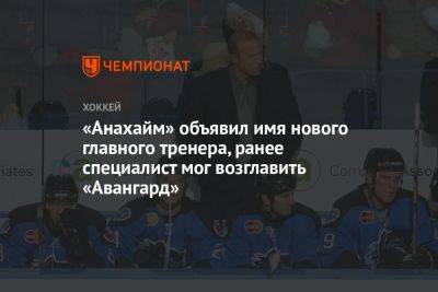 «Анахайм» объявил имя нового главного тренера, ранее специалист мог возглавить «Авангард»