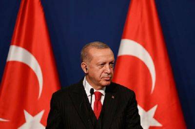 Эрдоган сформировал новое правительство Турции