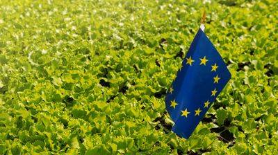 Брюссель продлевает смягченное ограничение на импорт из Украины для пяти членов ЕС