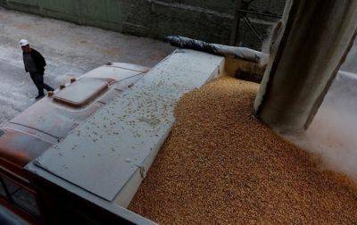 ЕС продлил ограничение экспорта зерна из Украины - korrespondent - Украина - Румыния - Венгрия - Польша - Болгария - Словакия - Ес - Продовольствие