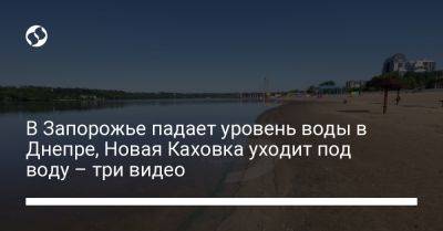 В Запорожье падает уровень воды в Днепре, Новая Каховка уходит под воду – три видео