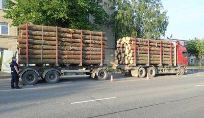 Полиция намерена бороться с перегруженными лесовозами