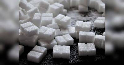 Украина резко ограничила экспорт сахара: в Кабмине ответили, будет ли дефицит продукта летом