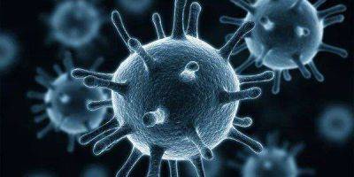 Не коронавирус. Американские ученые выяснили, какие вирусы были самыми смертоносными в истории человечества