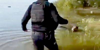 Полицейский спас песика, оказавшегося в ловушке после подрыва РФ Каховской ГЭС — видео