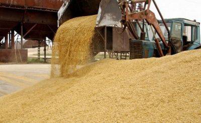 Дипломаты: ЕС продлевает запрет на импорт зерна из Украины