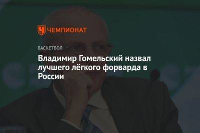 Владимир Гомельский назвал лучшего лёгкого форварда в России