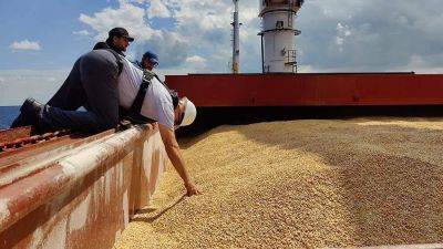 Раунд консультаций между Россией и ООН по зерновой сделке пройдет 9 июня