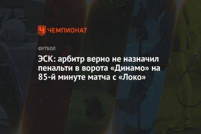 ЭСК: арбитр верно не назначил пенальти в ворота «Динамо» на 85-й минуте матча с «Локо»
