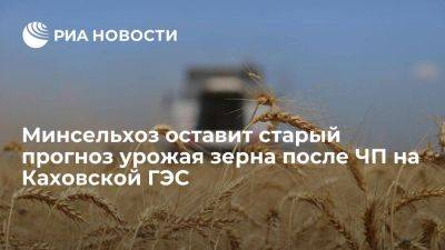 Минсельхоз не пересмотрит прогноз урожая зерна в 2023 году из-за разрушения Каховской ГЭС