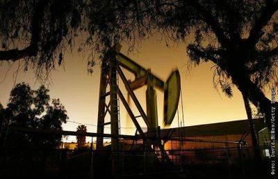 ОПЕК+ сокращает добычу нефти на 2024 год. Обобщение