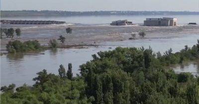 Уже взрываются: из-за подрыва Каховской ГЭС мины выносит на берег (видео)