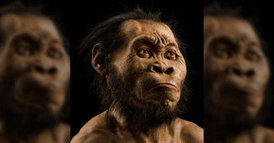 Не только неандертальцы: малоисследованные предки человека Homo naledi тоже хоронили умерших