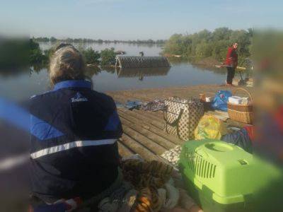 Как жители оккупированной Херсонщины спасаются от затопления | Новости Одессы