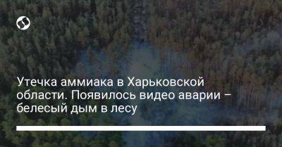 Утечка аммиака в Харьковской области. Появилось видео аварии – белесый дым в лесу