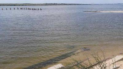 В Николаеве снова поднялась вода из-за подрыва ГЭС