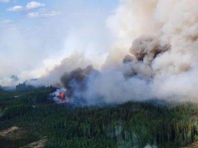 В Канаде вспыхнули масштабные лесные пожары: дым попал в США
