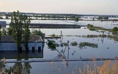 Подрыв КГЭС: затоплен единственный в Украине государственный осетровый завод