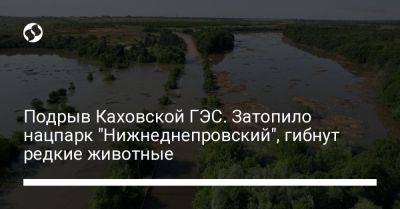 Подрыв Каховской ГЭС. Затопило нацпарк "Нижнеднепровский", гибнут редкие животные