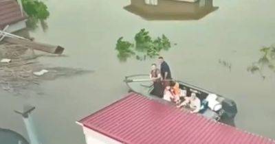 Happy End: ВСУ спасли семью, застрявшую на чердаке во время потопа в Алешках, — СМИ (видео)