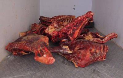 Сезон тухлятины продолжается. Кафешки Ташкента недополучили свыше 800 кг тухлого мяса