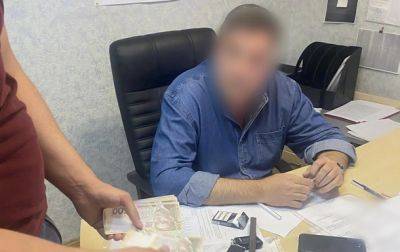 Директора киевского Гидропарка поймали на взятке