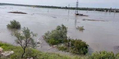Подрыв Каховской ГЭС: в Николаеве уровень воды поднялся почти на метр, в одной из громад региона подтоплены 11 населенных пунктов