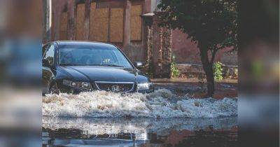 В МВД рассказали, как жителям затопленных территорий восстановить потерянные номерные знаки своих автомобилей