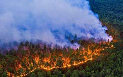 На российском Алтае пылают тысячи гектаров лесов