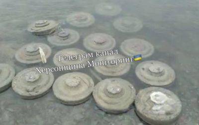 Подрыв ГЭС: в реке Днепр дрейфует большое количество мин