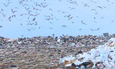 В Осташкове обнаружена свалка обгоревших коммунальных отходов