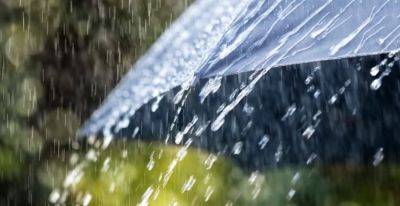 Дожди зальют многие области: синоптик Диденко предупредила о погоде в пятницу 9 июня